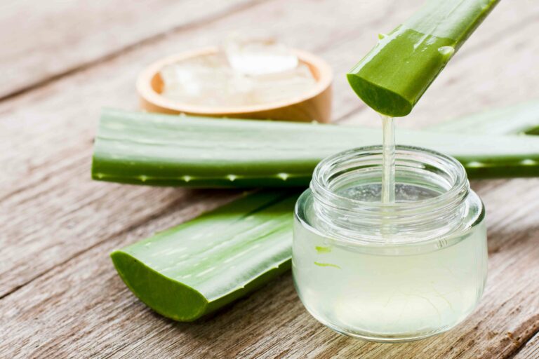 Aloe vera és akné: mítosz vagy valódi segítség?
