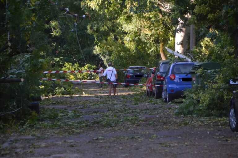 Több utca járhatatlan, sok helyen áram sincs még áram sincs – kedd reggeli vásárhelyi körkép