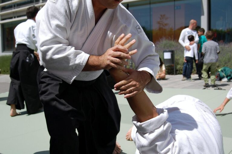 Jubileumi Aikido Konferencia lesz Makón