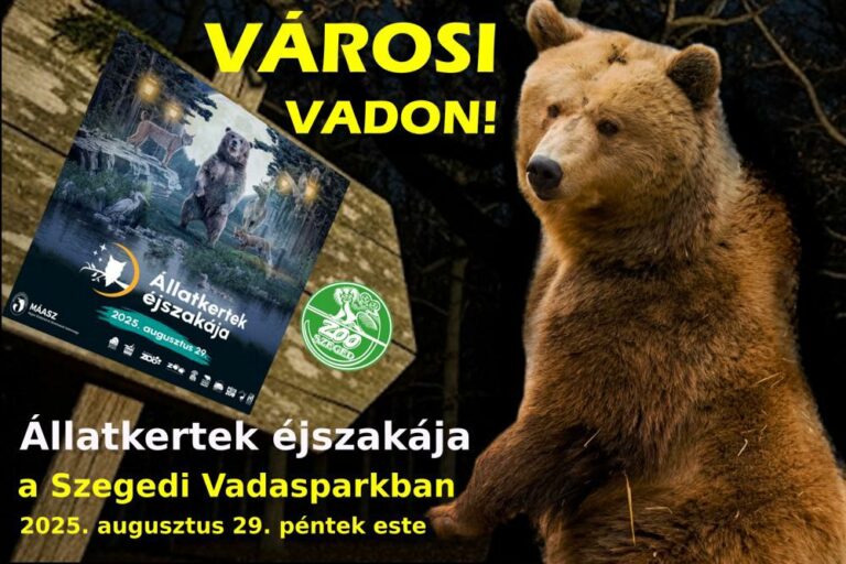 Állatkertek éjszakája: augusztus 29-én – Szegeden is