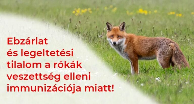 Ebzárlat és legeltetési tilalom lépett életbe Csongrád-Csanádban