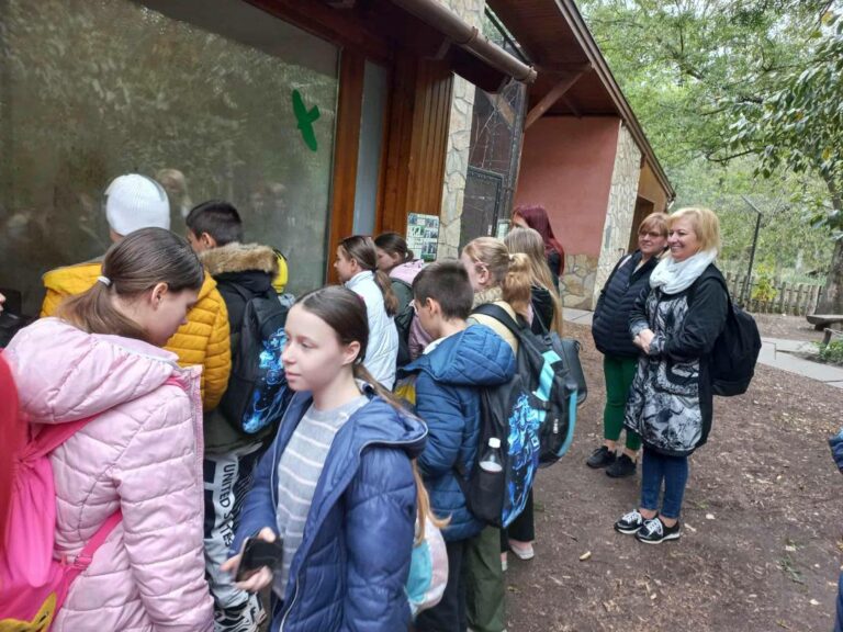A Szegedi Vadasparkba szervezett kirándulást gyerekeknek a Mindenki Számít Vásárhelyen