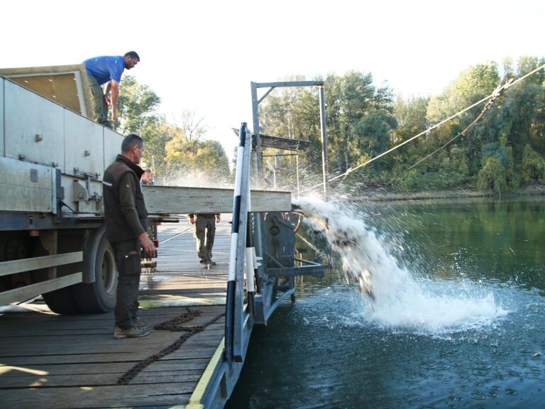 Kétnyaras pontyok érkeztek a Tiszába