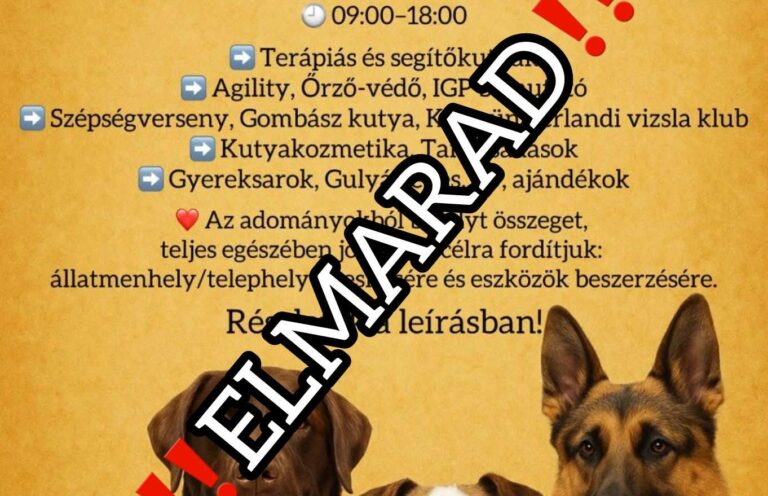 Elmarad a mindszenti kutyás rendezvény