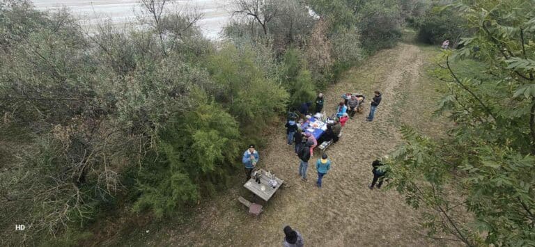Madarat lehetett velük fogatni