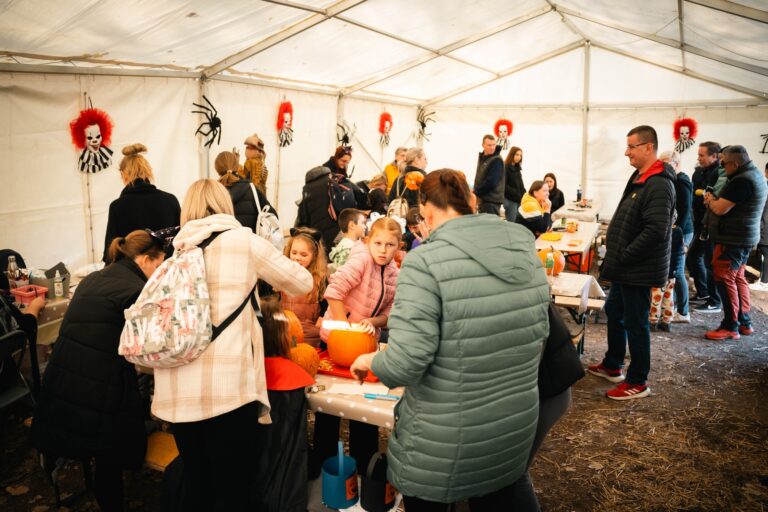 Rémisztően jó hangulat a Lombkorona sétánynál!