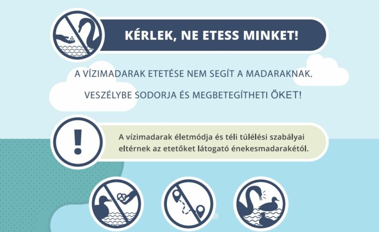 Lakossági felhívás – ne etessük a vízimadarakat!