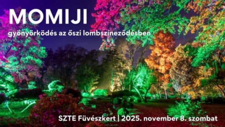 Az ősz ragyogó színeit köszöntik a szegedi füvészkertben