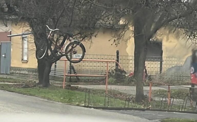 Karácsonyi hangulat Vásárhelyen