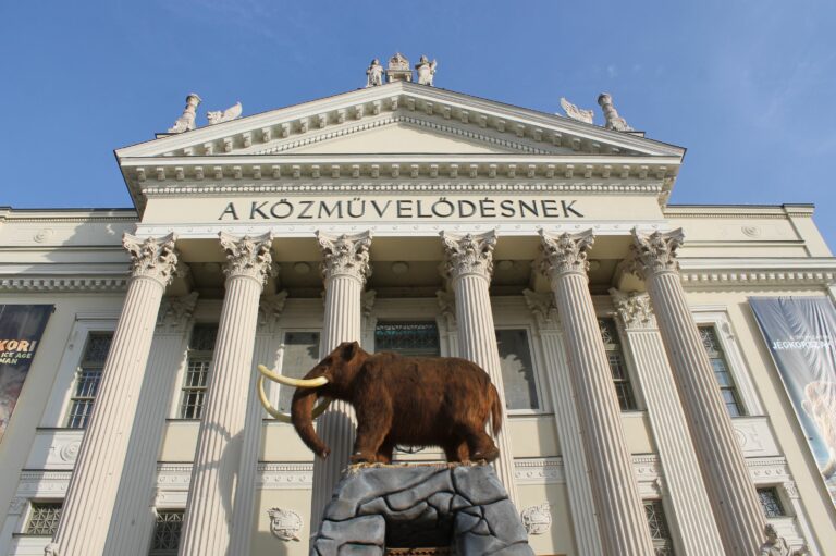 Nevet keresnek a jégkorszaki mamutnak Szegeden