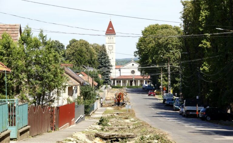 A költési időszak előtt, március végéig kellene elvégezni számos, természetvédelmi szempontból érzékeny munkát