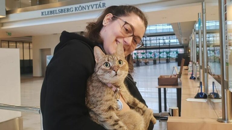 Cuki besurranó a szegedi könyvtárban