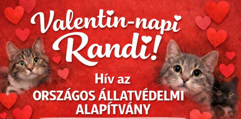 Valentin-napi cicás randi Szegeden
