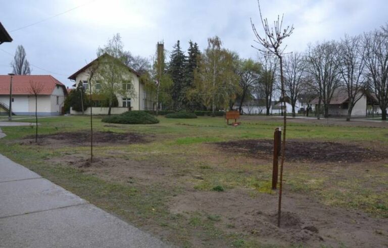 Megújul Balástya központja: új fák, friss park, hosszú távú szemlélet
