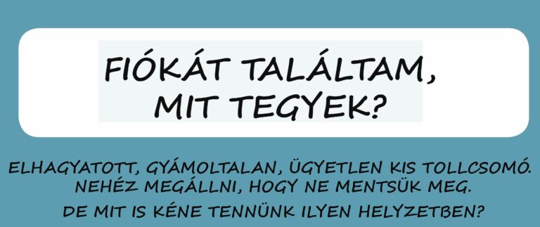 Lakossági felhívás – a talált madárfiókák többsége nem árva, nem szorul megmentésre, ne szedjük össze őket!