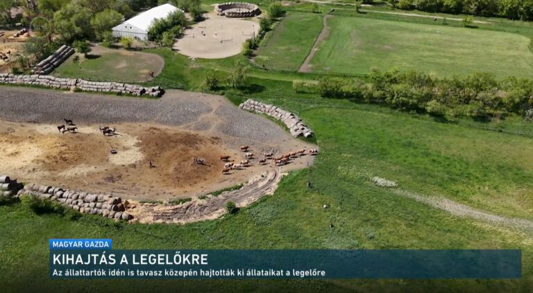 Kucsora Péterrel forgatott a Magyar gazda