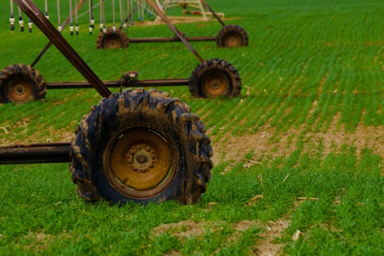 Több mint 150 ezer egységes kérelmet nyújtottak be a termelők az agrárkamara szerint