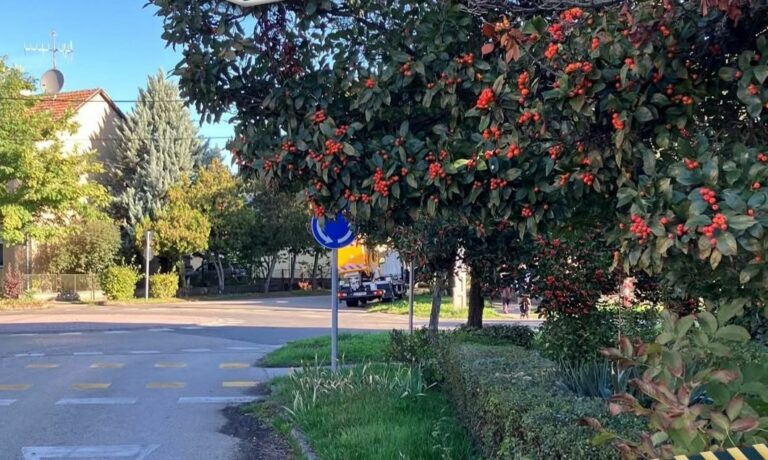 Táblavadász akció Makón – segíts Te is a biztonságos közlekedésért!