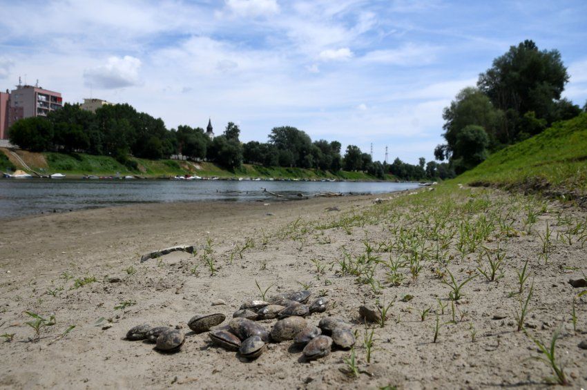 0829tisza