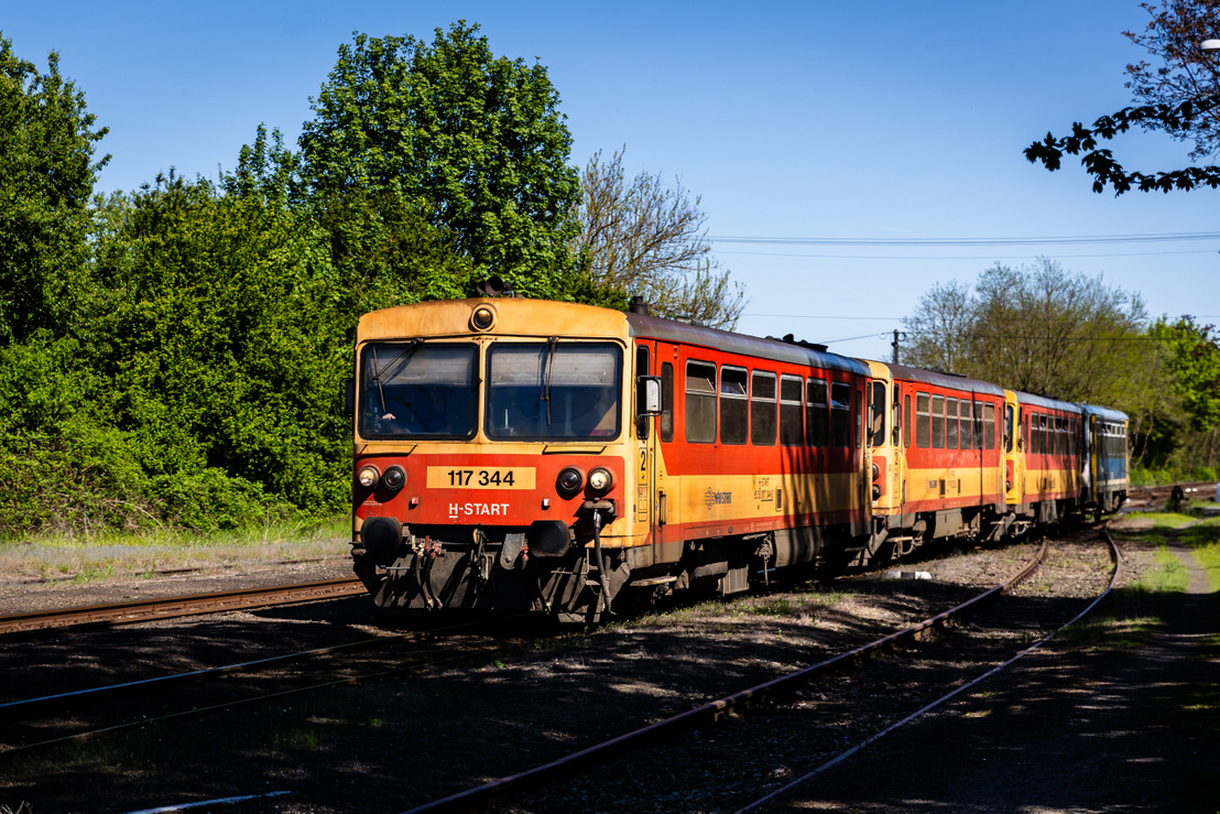 mavv