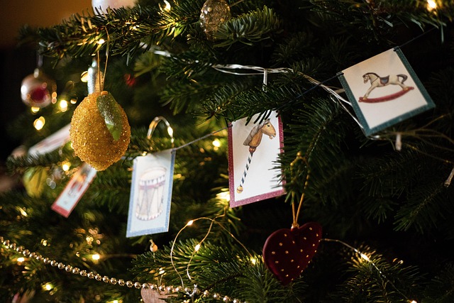 christmas-6931584_640