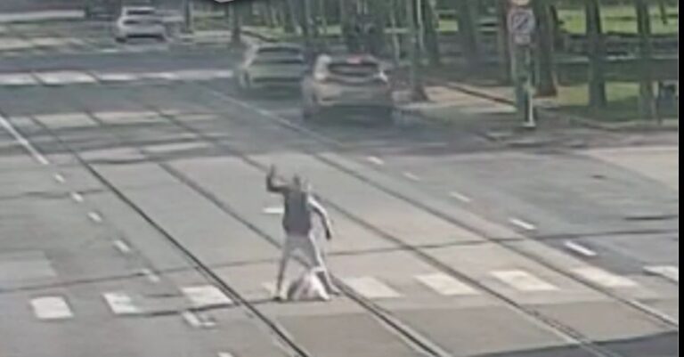 Garázdálkodót fogtak el a rendőrök